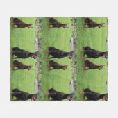 2 DOBERMANN FLEECEDECKE (Vorderseite (Horizontal))