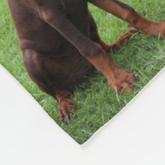 2 DOBERMANN FLEECEDECKE (Ecke)
