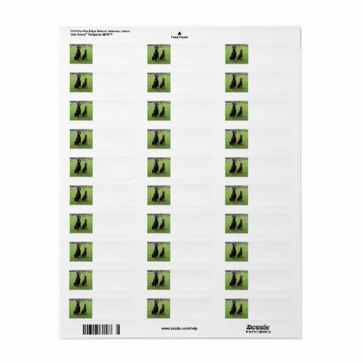 2 Dobermann.png (Vorne)