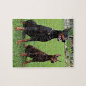 2 dobies.png puzzle (Horizontal)