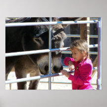 2 Donkeys in Jackalope Santa Fe NM