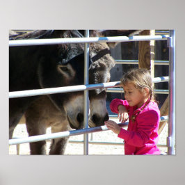 2 Donkeys in Jackalope Santa Fe NM Poster