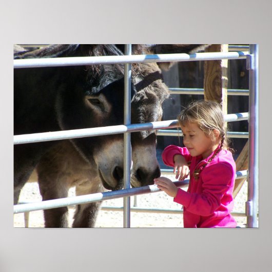 2 Donkeys in Jackalope Santa Fe NM Poster (Vorne)