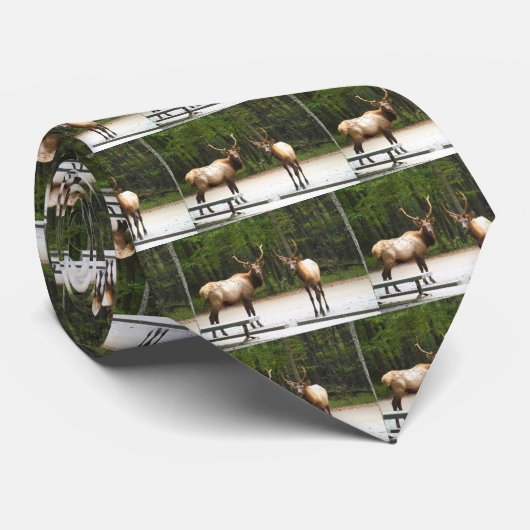 2 felsiger Gebirgselche Krawatte (Gerollt)