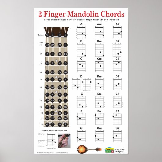 2 Finger-Mandolin-Akkorde und Fretboard Poster (Vorne)