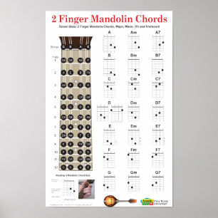 2 Finger-Mandoline Akkorde und Fretboard Poster