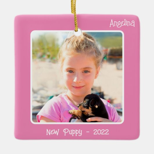 2-Foto-2-seitiges Pink-Sonderereignis oder Meilens Keramikornament (Vorderseite)