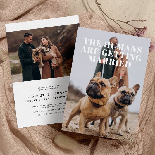 2 Foto Einfache lustige Hundehochzeit Save The Date