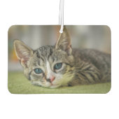 2 Foto Name Custom Pet Frame Autolufterfrischer (Rückseite)