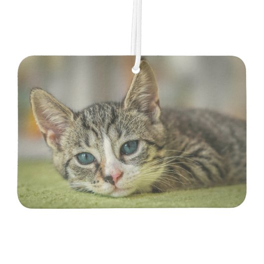 2 Foto Name Custom Pet Frame Autolufterfrischer (Rückseite)