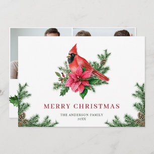 2 FOTO Poinsettia Roter Kardinal Weihnachtsgrüße Feiertagskarte