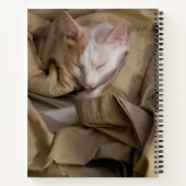 2 Foto Weißer Skriptname Jahr Modernes Bullet Notizblock (Rückseite)