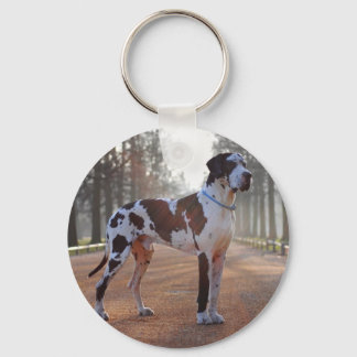 2 Fotos Great Dane Schlüsselanhänger – Great Dane 