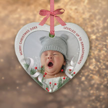 2 Fotos Neue Großeltern Silver Frame