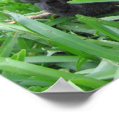 2 Franken im Gras Poster (Ecke)