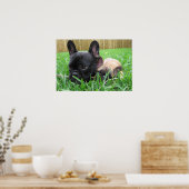 2 Franken im Gras Poster (Küche)