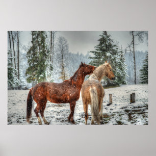 2 Friendly Ranch Horses, Dun, Palomino Paint Foto Poster