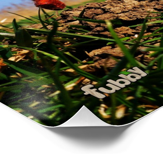 2 Fubby's die een bol krokus planten. Poster (Ecke)