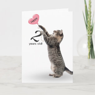 2. Geburtstag Tabby-Katze Karte