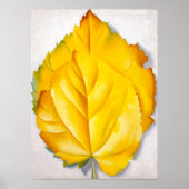 2 Gelbe Blätter | Georgia O'Keeffe | Poster (Vorne)