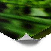 2 Gelbe Blumen Poster (Ecke)