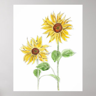 2 Gelbe Sonnenblumenfarbe und Aquarellfarbe Poster