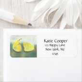 2 Gelbe und grüne Birnen (Insitu)