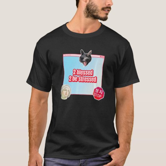 2 gesegnet 2 betont T-Shirt (Vorderseite)