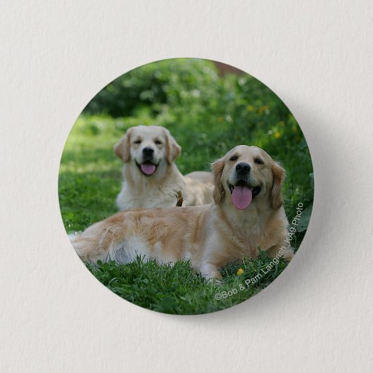 2 goldene Retriever, die in Gras legen Button (Vorderseite)