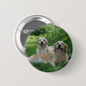 2 goldene Retriever, die in Gras legen Button (Vorne & Hinten)