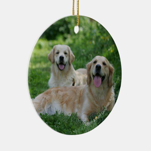 2 goldene Retriever, die in Gras legen Keramik Ornament (Rechts)