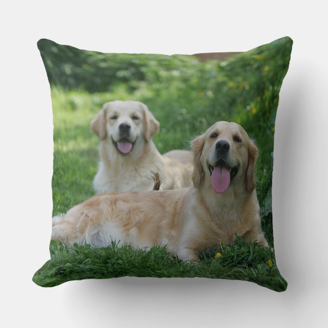 2 goldene Retriever, die in Gras legen Kissen (Vorderseite)