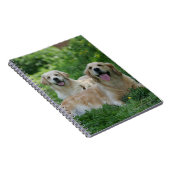 2 goldene Retriever, die in Gras legen Notizblock (Rechte Seite)