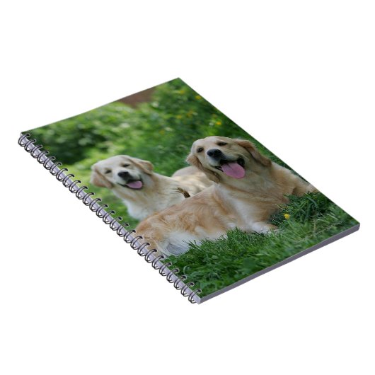 2 goldene Retriever, die in Gras legen Notizblock (Rechte Seite)