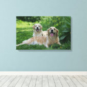 2 Goldene Retrievers im Gras Leinwanddruck (Insitu (Holzboden))