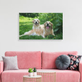 2 Goldene Retrievers im Gras Leinwanddruck (Insitu (Wohnzimmer))