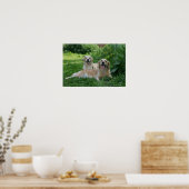 2 Goldene Retrievers im Gras Poster (Küche)