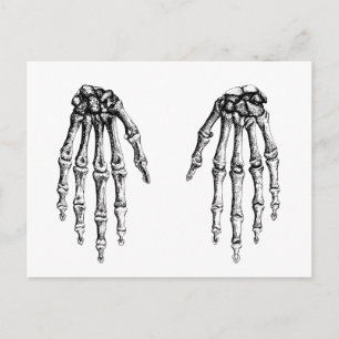 2 Handunten Weiß Postkarte