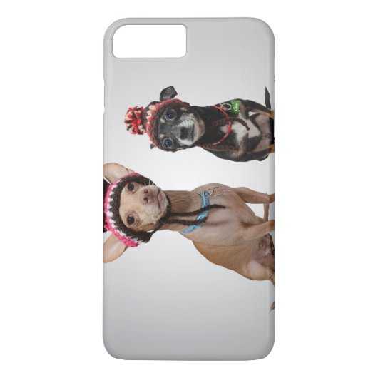2 Hunde mit lustigen Hüten Case-Mate iPhone Hülle (Rückseite)