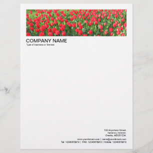 2 im Header 1/2 Zoll Rand - Rote Tulpen Briefbogen