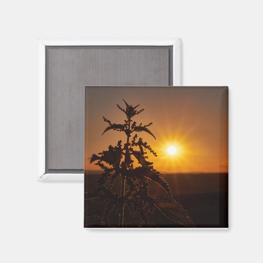 2 Inch Square Magnet mit schönem Sonnenuntergang (Vorderseite/Rückseite)