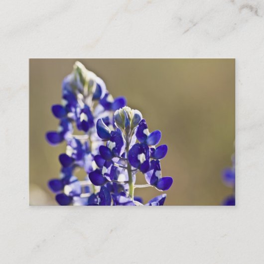 2 ist besser als ein visitenkarte (Vorderseite)