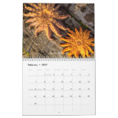 2 Jahr 2024/2025 Kalender (Feb 2027)