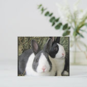 2 Kaninchen Postkarte (Stehend Vorderseite)