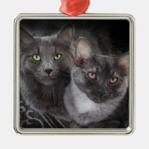 2 Katzen Grüne Augen Orangenaugen Graue Katze Sch Ornament Aus Metall