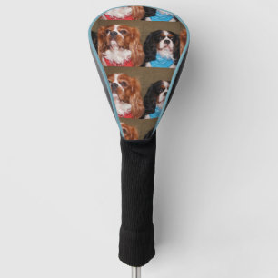 2 kg golf headcover
