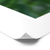 2 kleine Luv-Vögel Poster (Ecke)