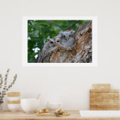 2 kleine Luv-Vögel Poster (Küche)