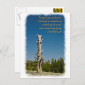 2 Korinthen 4:15 Postkarte (Vorne/Hinten)