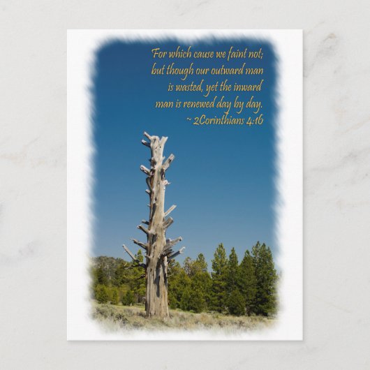 2 Korinthen 4:15 Postkarte (Vorderseite)